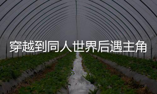 穿越到同人世界后遇主角