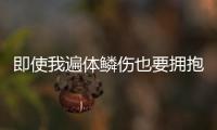 即使我遍体鳞伤也