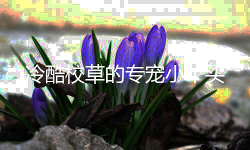 《大神你人设崩了》全文在线阅读