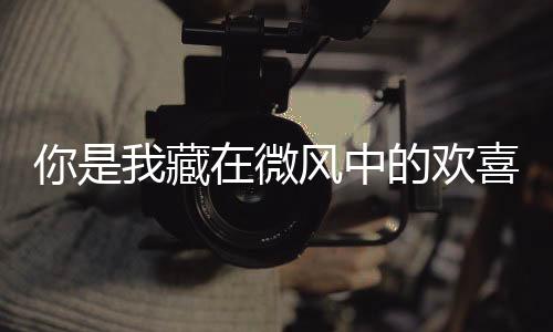 你是我藏在微风中的欢喜