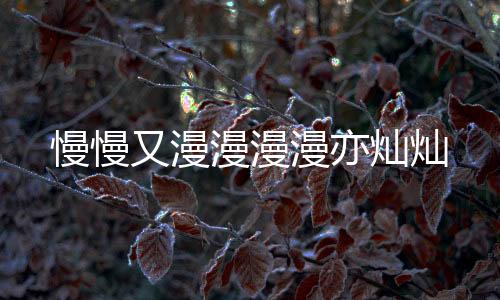 慢慢又漫漫漫漫亦灿灿