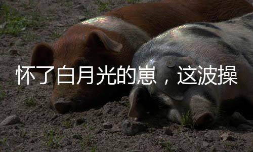 怀了白月光的崽，这波操作太上头