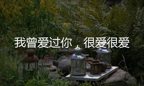 《我曝光前世惊炸全网》全文在线阅读