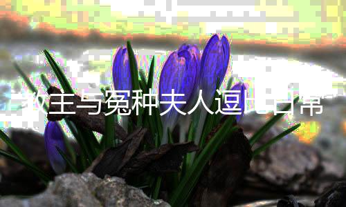 《全球贬值，我穿回来后带飞全家！》全文在线阅读