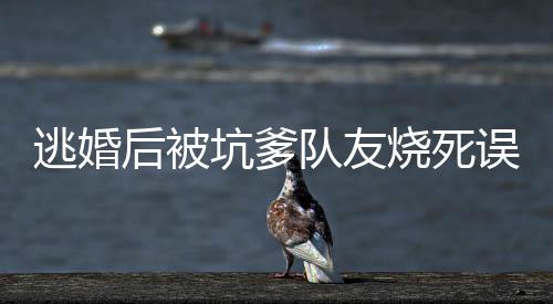 《京色欲坠》全文在线阅读